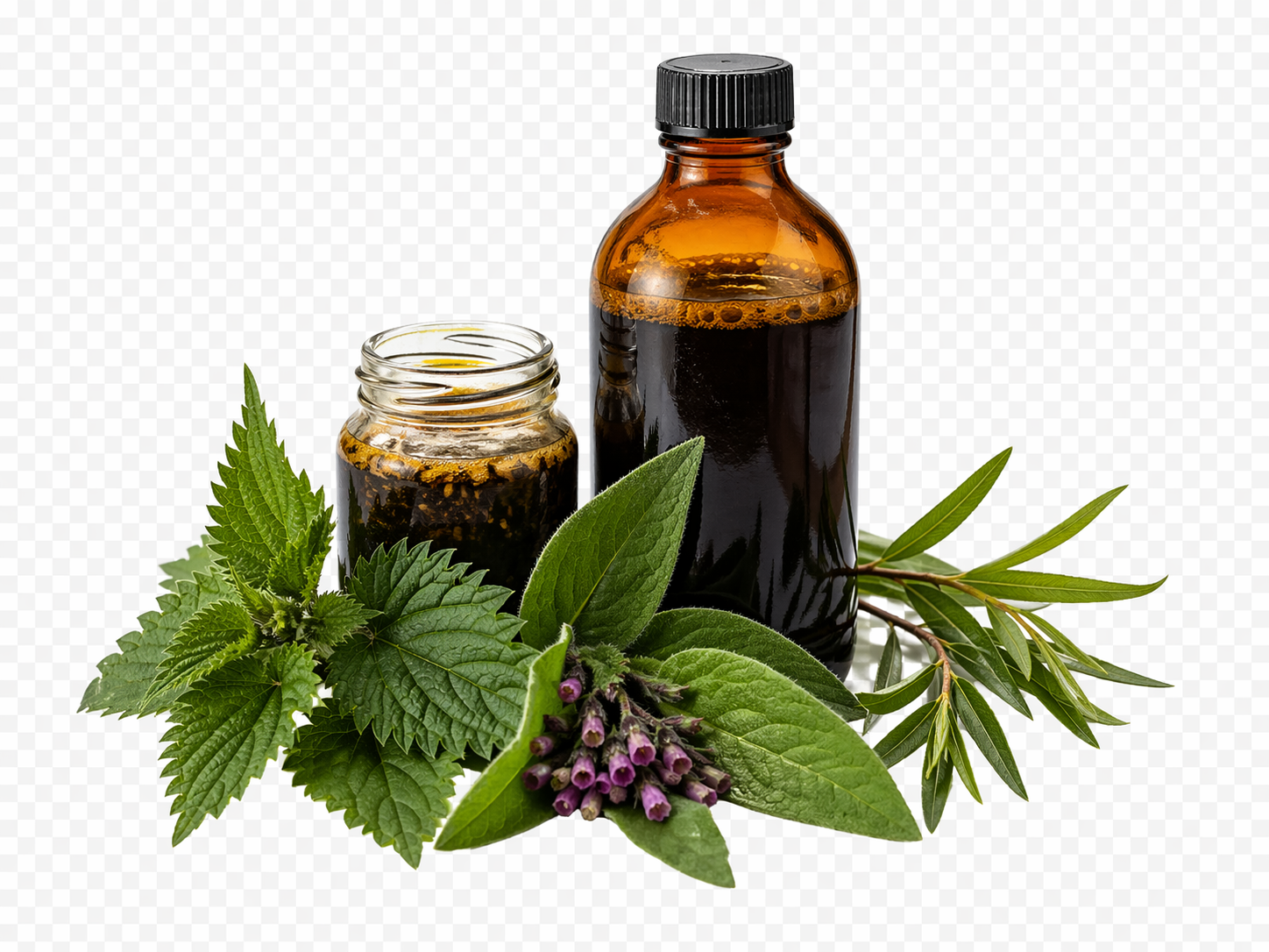 Extraits fermentés naturels pour plantes